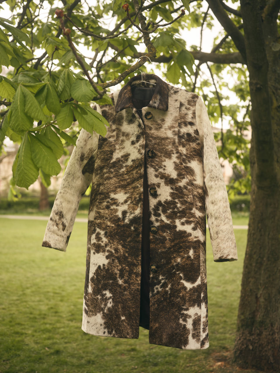 Shaw Speckled Hide